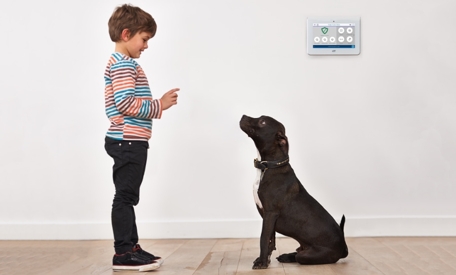 Gastonia security systems